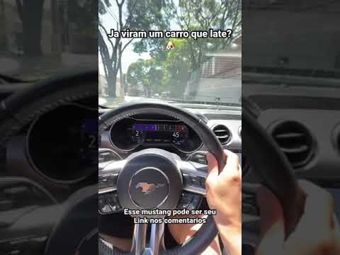 Leia mais sobre o artigo Carro que late igual pitbull