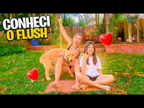 Leia mais sobre o artigo O CACHORRO DA MINHA SOBRINHA ME IMPRESSIONOU! *ele sabe tudo*