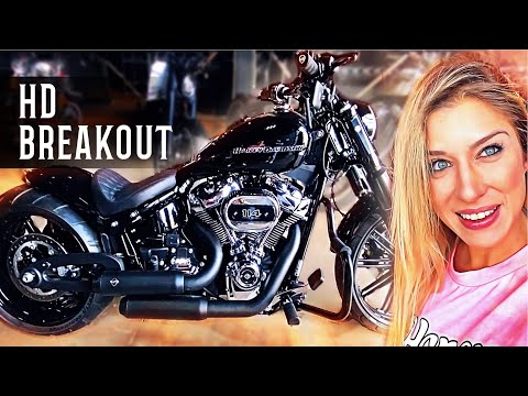 Leia mais sobre o artigo CUSTOMIZAÇÃO DE UMA HD BREAKOUT! – A Harley que mais adoro! #rumoaos100k #vans100k