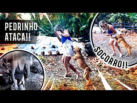 Leia mais sobre o artigo LEVEI A ANNE NO MOTOCROSS E O PEDRINHO ATACOU ELA!!!