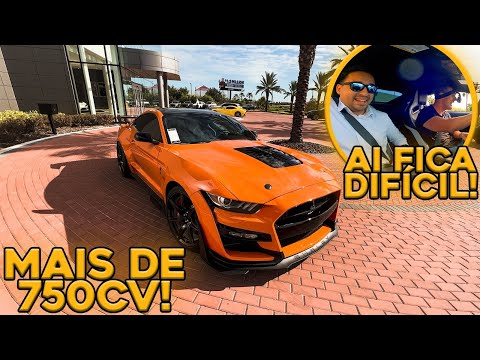 Leia mais sobre o artigo VENDEDOR FICOU EM PÂNICO * ACELERANDO TUDO NO MUSTANG SHELBY GT500 🇺🇸 *