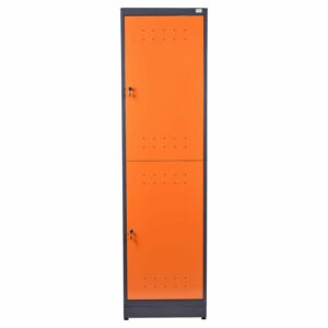 Armário Vestiário Nr 24 2 Portas Basic Biccaplast 2146 Presto (Entregue por Ferramentas Kennedy)