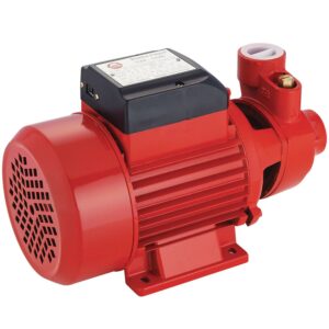 Bomba D’água Periférica 1/2Hp 10Bar 1″ Biv Worker (Entregue por Ferramentas Kennedy)