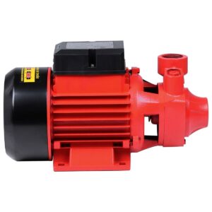 Bomba Periférica 1Hp 10Bar 1″ Bivolt Worker (Entregue por Ferramentas Kennedy)