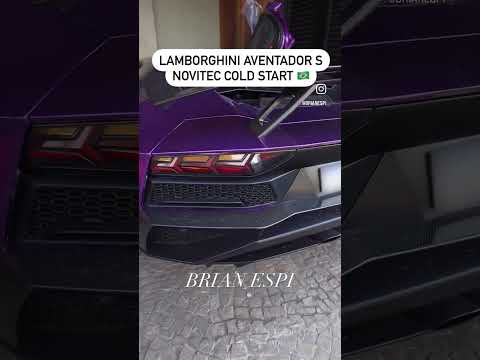 Leia mais sobre o artigo LAMBORGHINI AVENTADOR S NOVITEC COLD START #lamborghini #aventador #novitec #aventadors #car