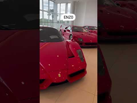 No momento, você está visualizando FERRARI PERFECTION #ferrari #288gto #f40 #enzo #laferrari #car #automobile #ferraribrasil #sportscar