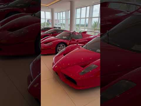 Leia mais sobre o artigo FERRARI BIG 5 #ferrari #laf #laferrari #daytonasp3 #f40 #f50 #enzo #288gto #automobile #sportscar