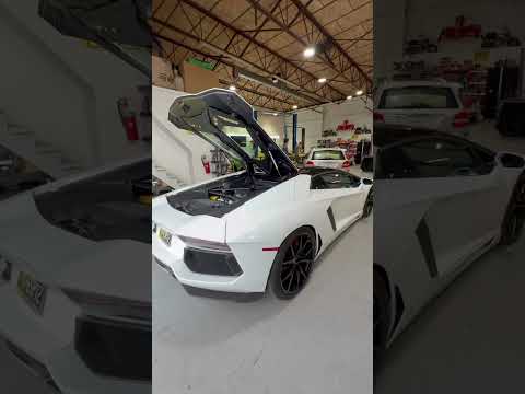 Leia mais sobre o artigo VOCÊ MODIFICARIA UM LAMBORGHINI? #lambo #lamborghinni #aventador #lamborghiniaventador #svj #sv